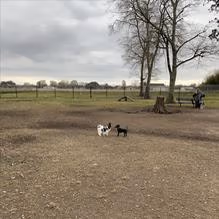 Beaullieu Park Dog Park